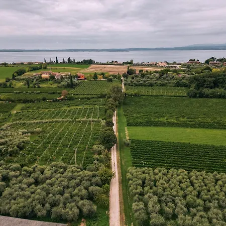 Casa Fiore E Vigneti Prázdninový dům *